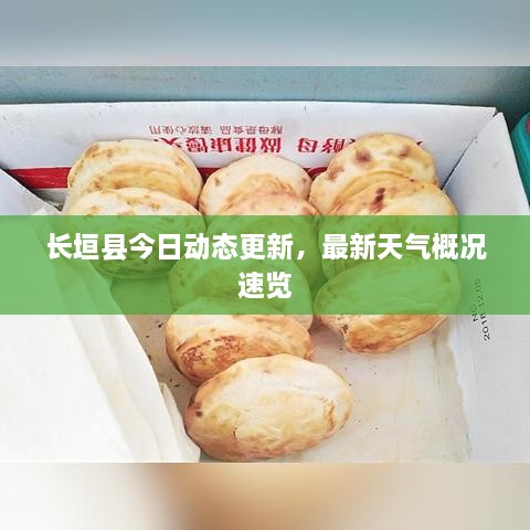 富贵逼人