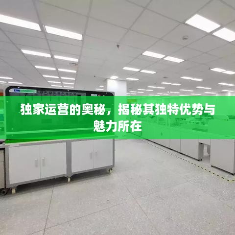 独家运营的奥秘，揭秘其独特优势与魅力所在