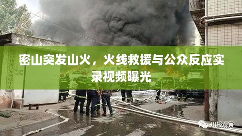 密山突发山火，火线救援与公众反应实录视频曝光