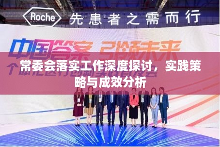 常委会落实工作深度探讨，实践策略与成效分析