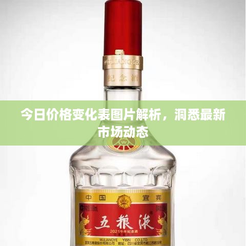 今日价格变化表图片解析，洞悉最新市场动态