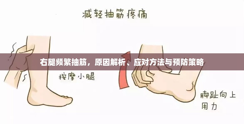 右腿频繁抽筋，原因解析、应对方法与预防策略