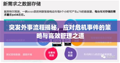 突发外事流程揭秘，应对危机事件的策略与高效管理之道
