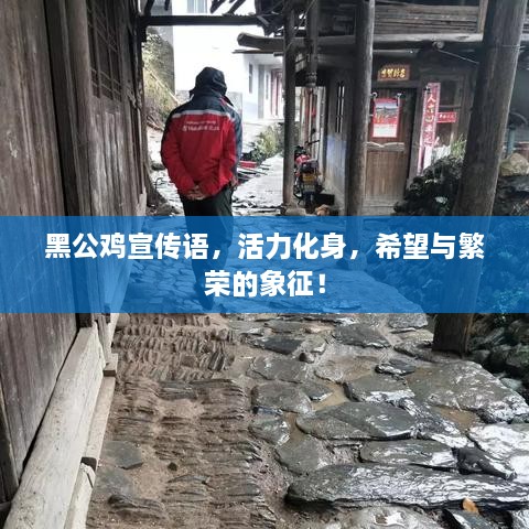 黑公鸡宣传语，活力化身，希望与繁荣的象征！