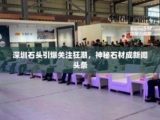 深圳石头引爆关注狂潮，神秘石材成新闻头条