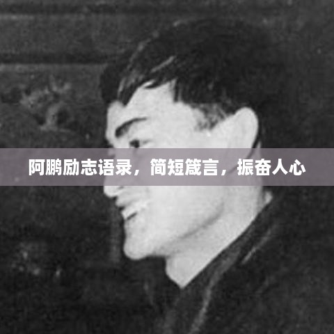 阿鹏励志语录，简短箴言，振奋人心