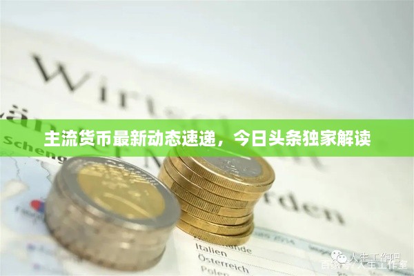 主流货币最新动态速递，今日头条独家解读