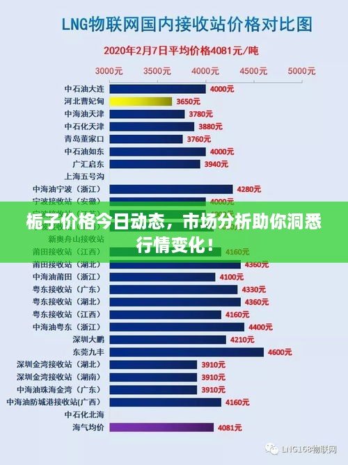 栀子价格今日动态，市场分析助你洞悉行情变化！