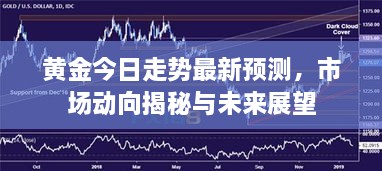 黄金今日走势最新预测，市场动向揭秘与未来展望