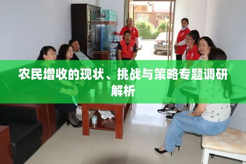 农民增收的现状、挑战与策略专题调研解析