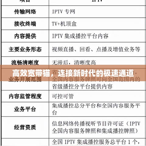 高效宽带猫，连接新时代的极速通道