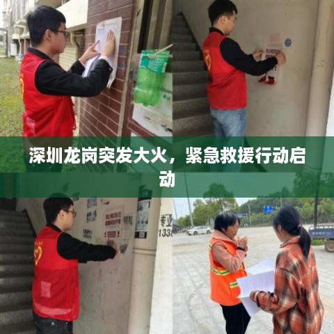 深圳龙岗突发大火，紧急救援行动启动