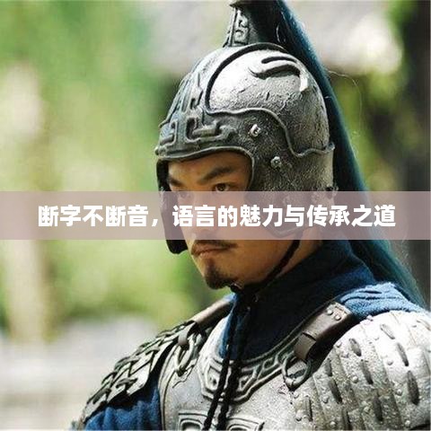 断字不断音，语言的魅力与传承之道