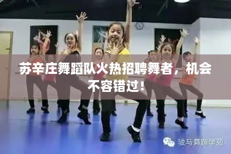 苏辛庄舞蹈队火热招聘舞者，机会不容错过！