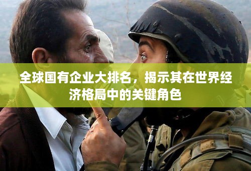 全球国有企业大排名，揭示其在世界经济格局中的关键角色