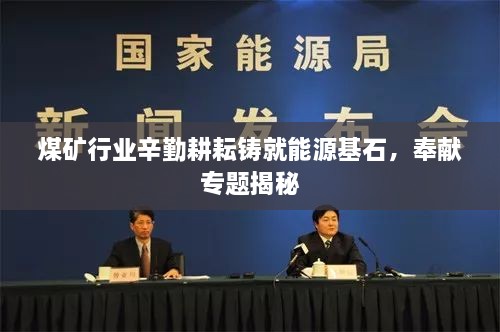 煤矿行业辛勤耕耘铸就能源基石，奉献专题揭秘