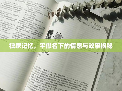 独家记忆，平假名下的情感与故事揭秘