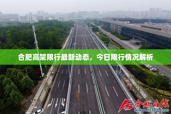 合肥高架限行最新动态，今日限行情况解析